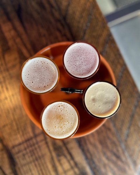 A flight of four beers seen from above